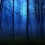 cropped-night_in_the_forest-wallpaper-960×540-1.jpg